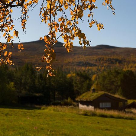 Øigardseter Fjellstue Hotel Høvringen Eksteriør billede